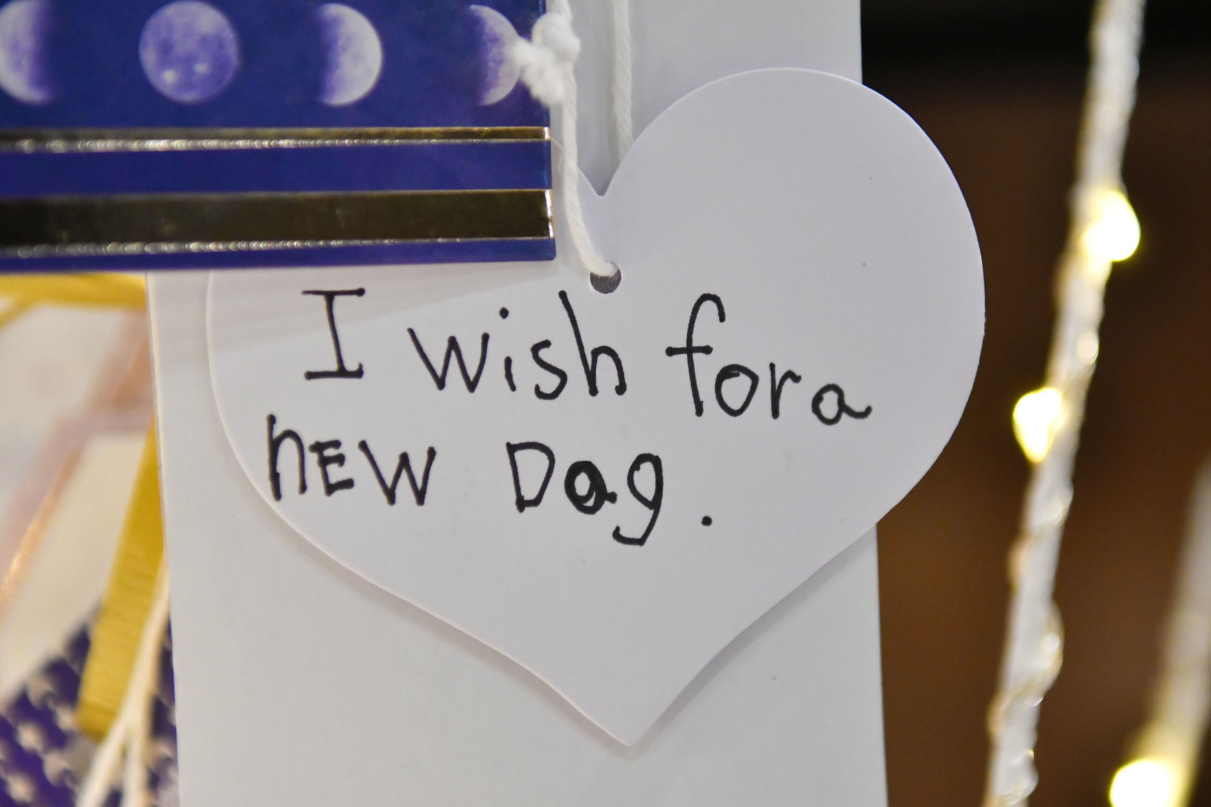113018 Library wishing tree 11.jpg